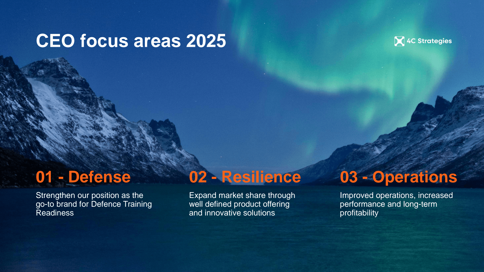 CEO focus areas 2025