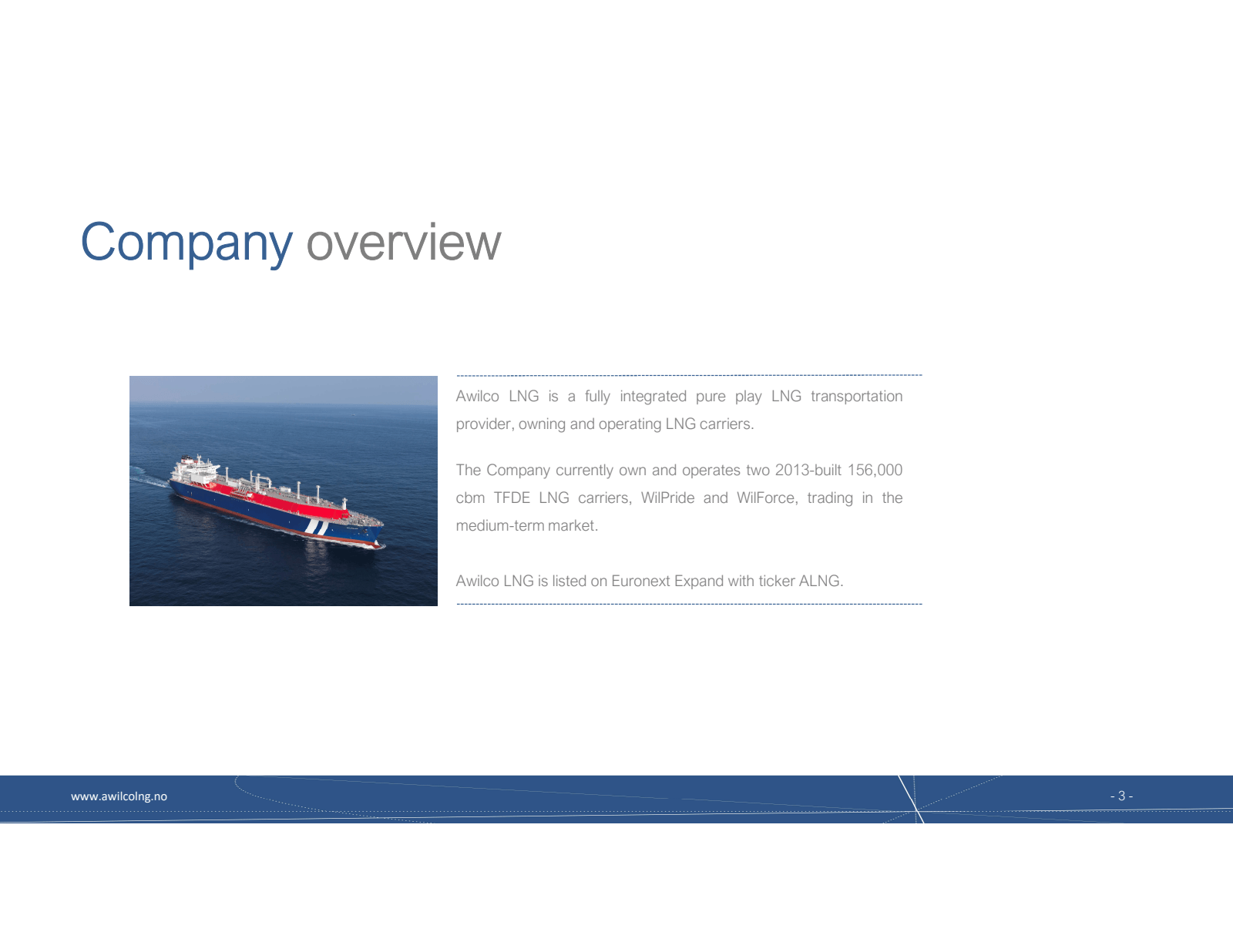 Company overview 

w