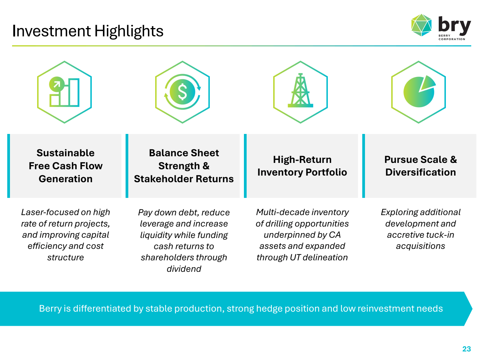 Investment Highlight