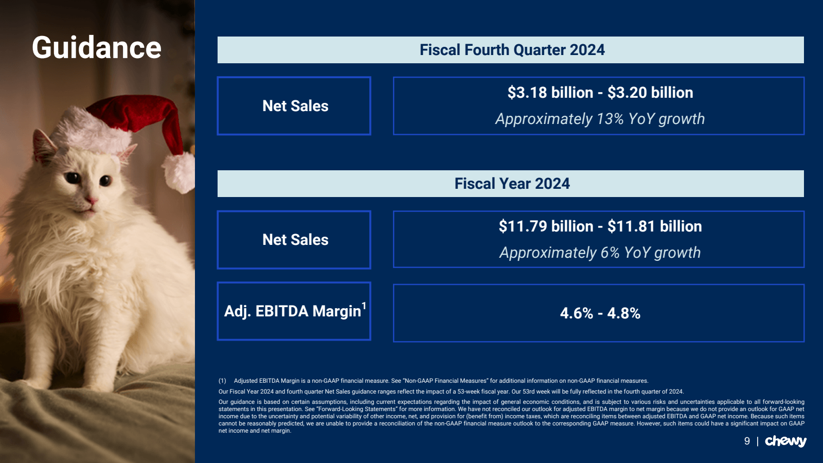 Guidance 

Net Sales