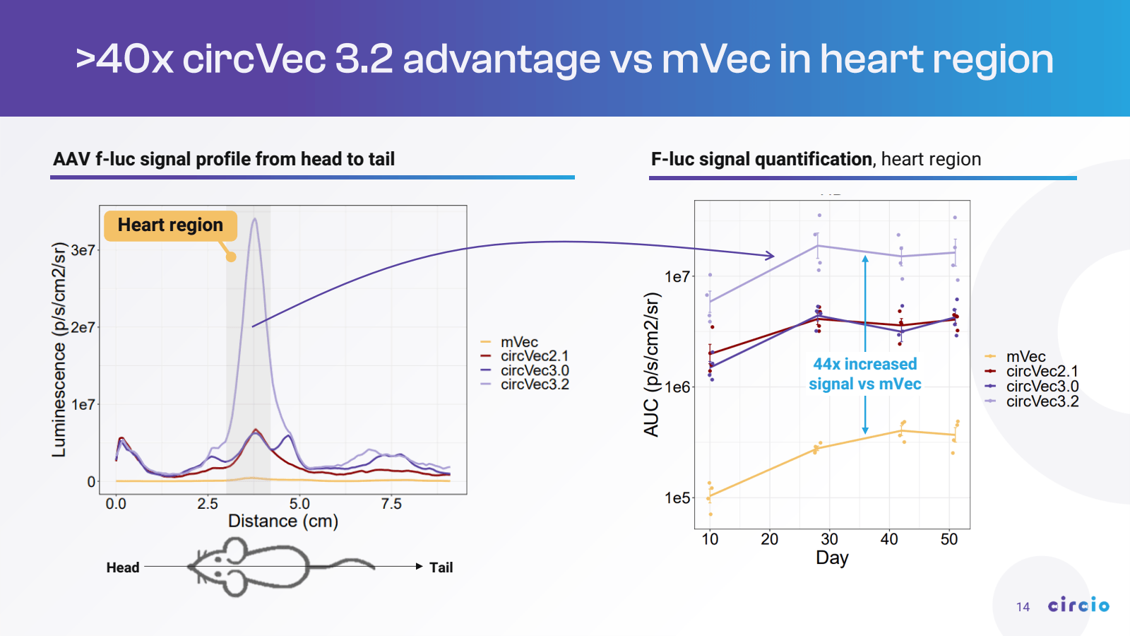 > 40x circ Vec 3.2 a