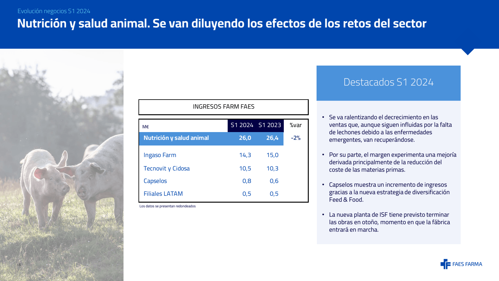 Evolución negocios S