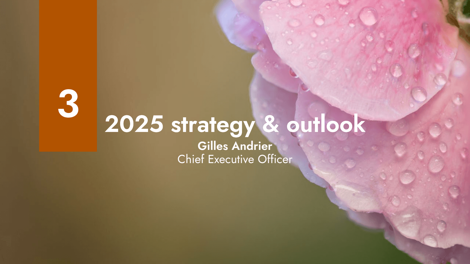 3

2025 strategy & o