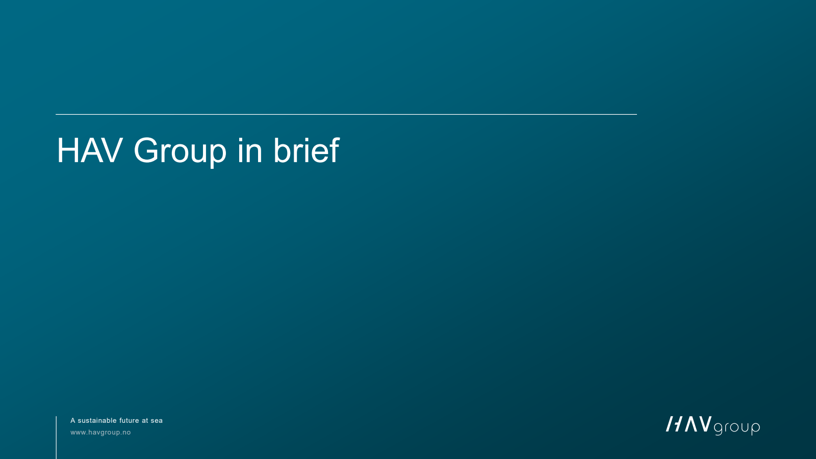 HAV Group in brief 
