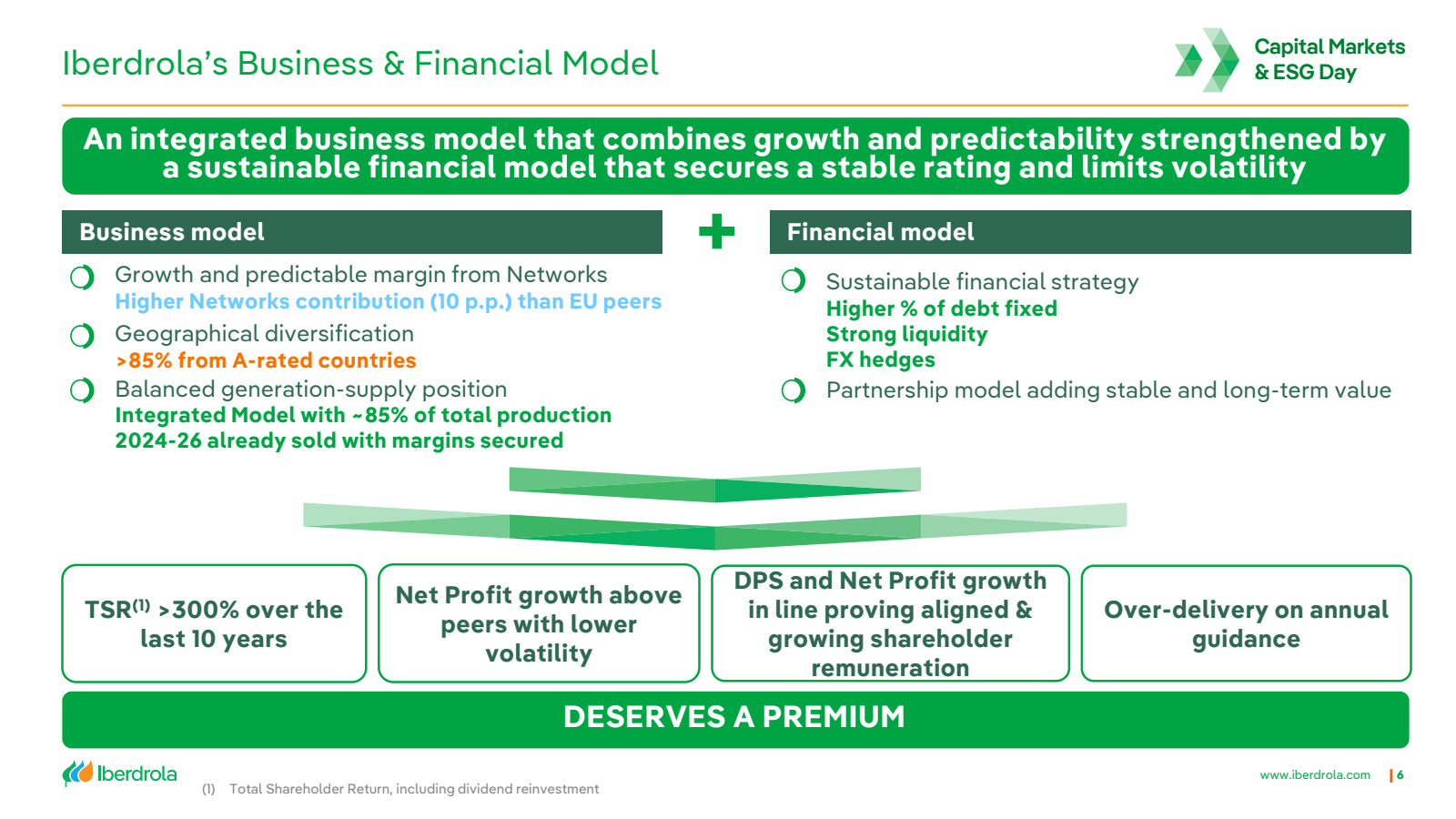 Iberdrola's Business