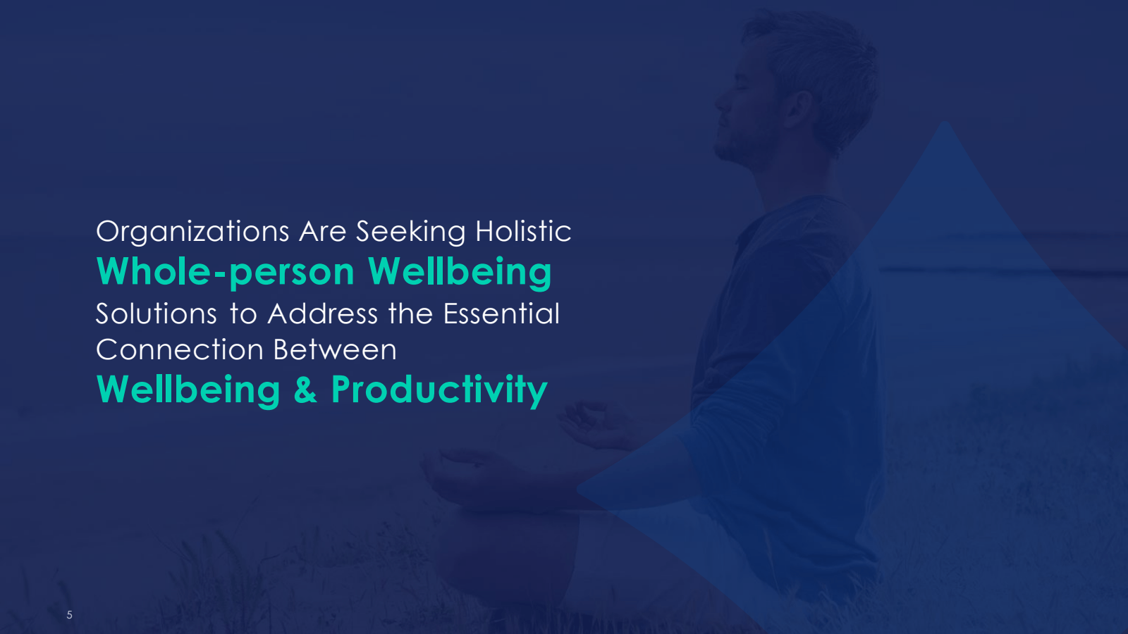 5 

Organizations Ar