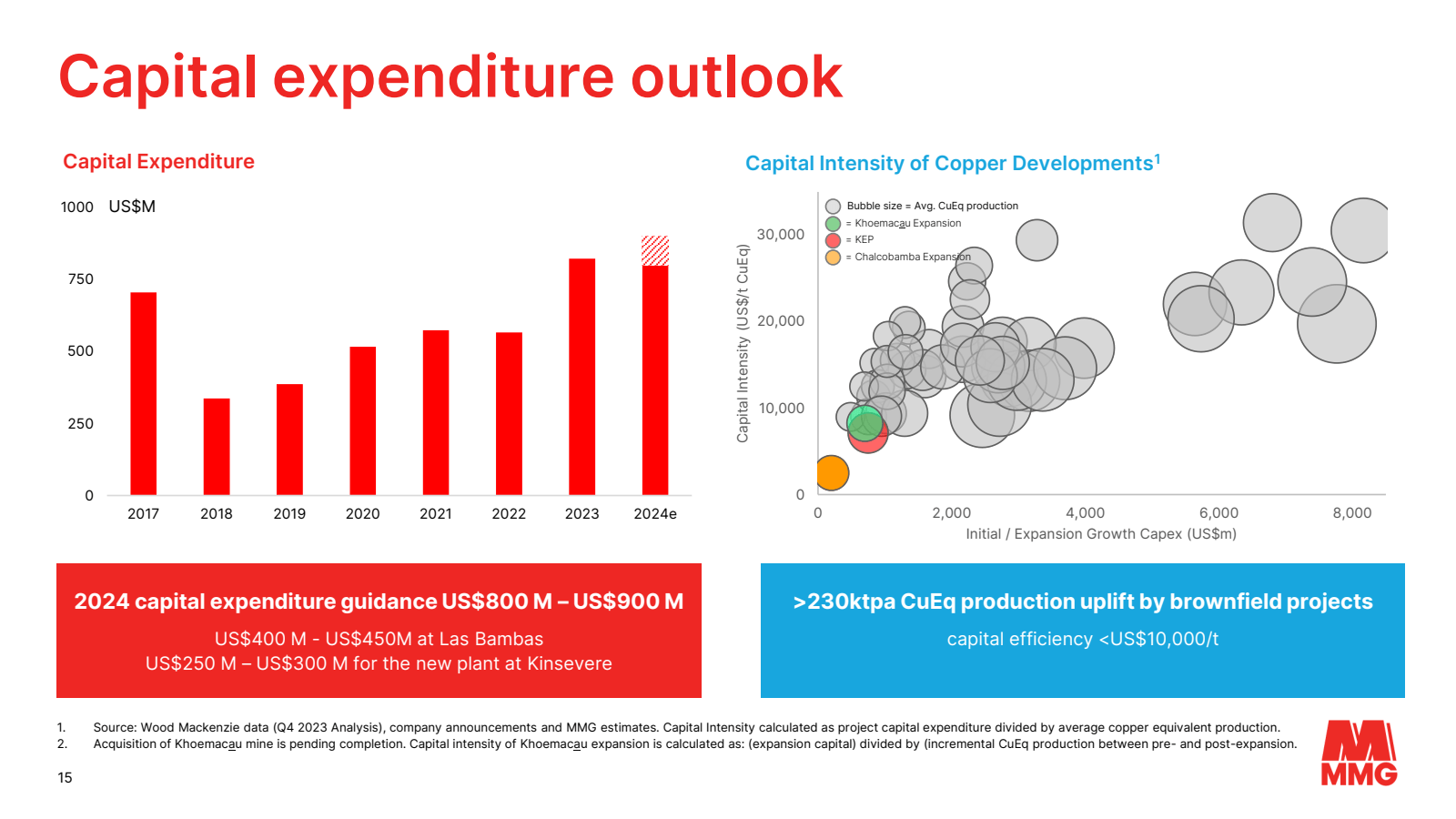 Capital expenditure 