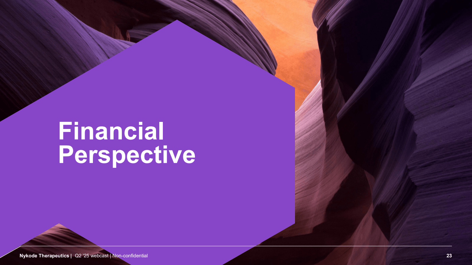 Financial Perspectiv