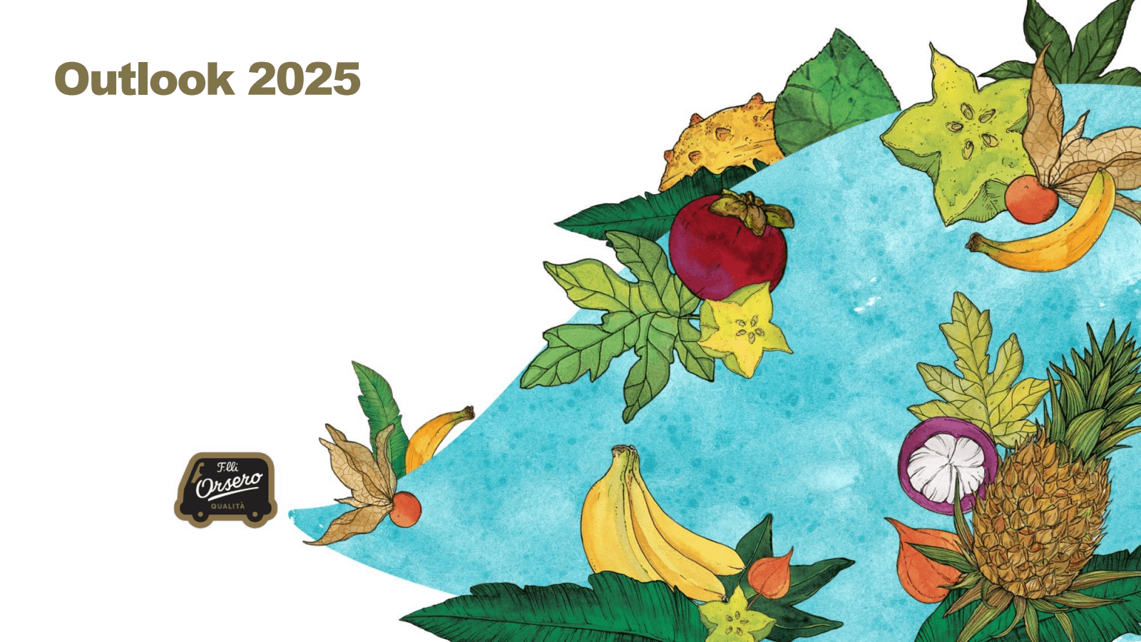Outlook 2025 

Filli