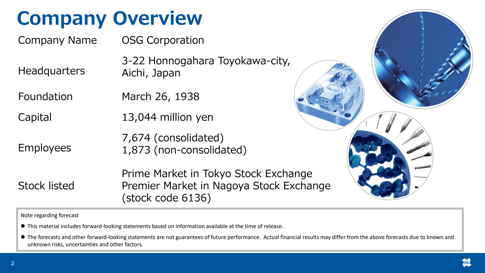 2 

Company Overview