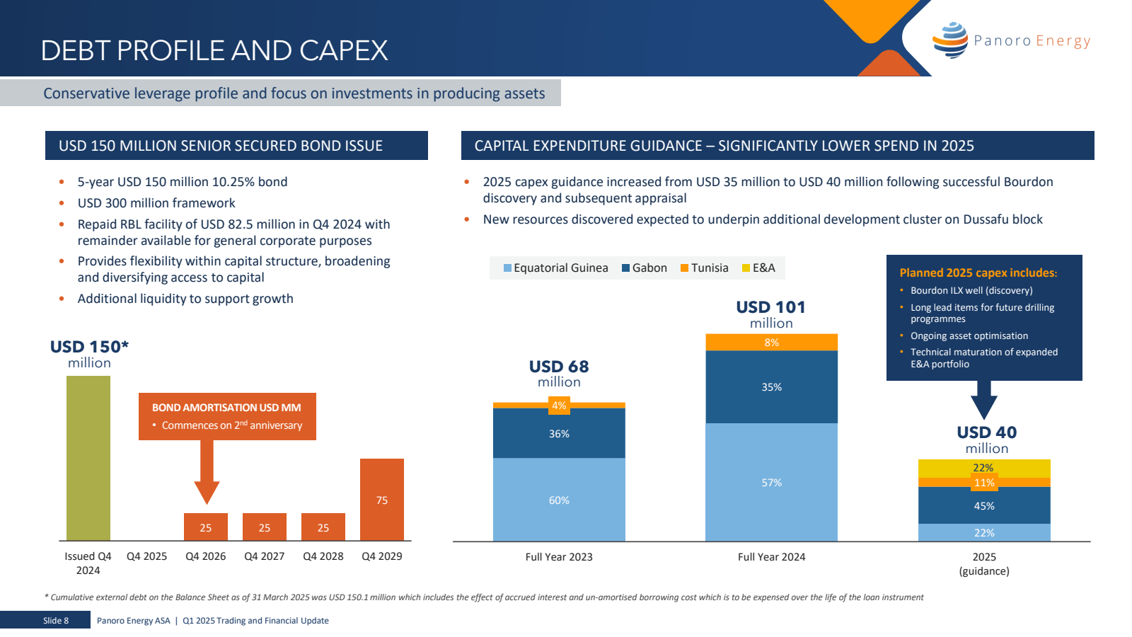 DEBT PROFILE AND CAP