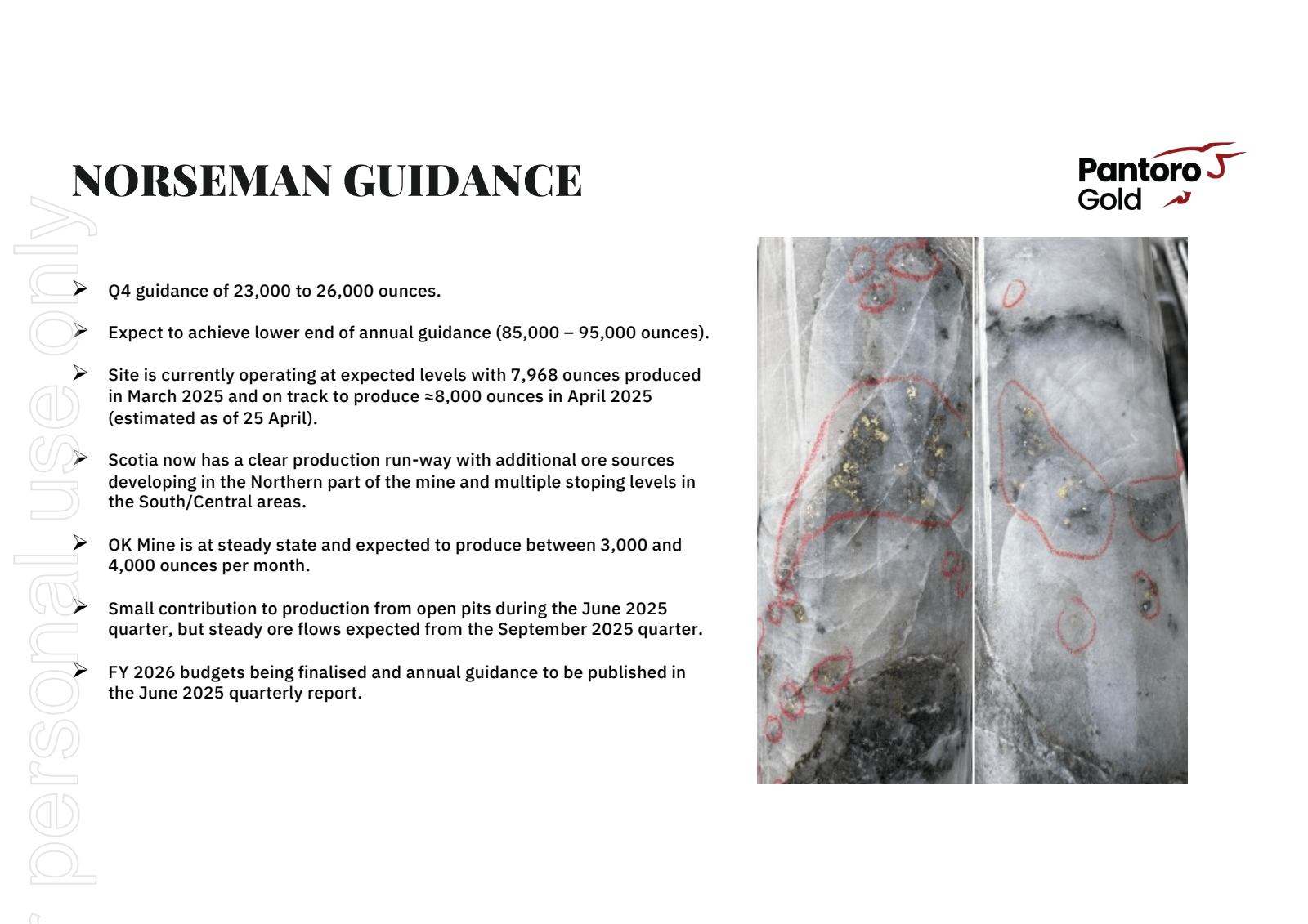 NORSEMAN GUIDANCE 

