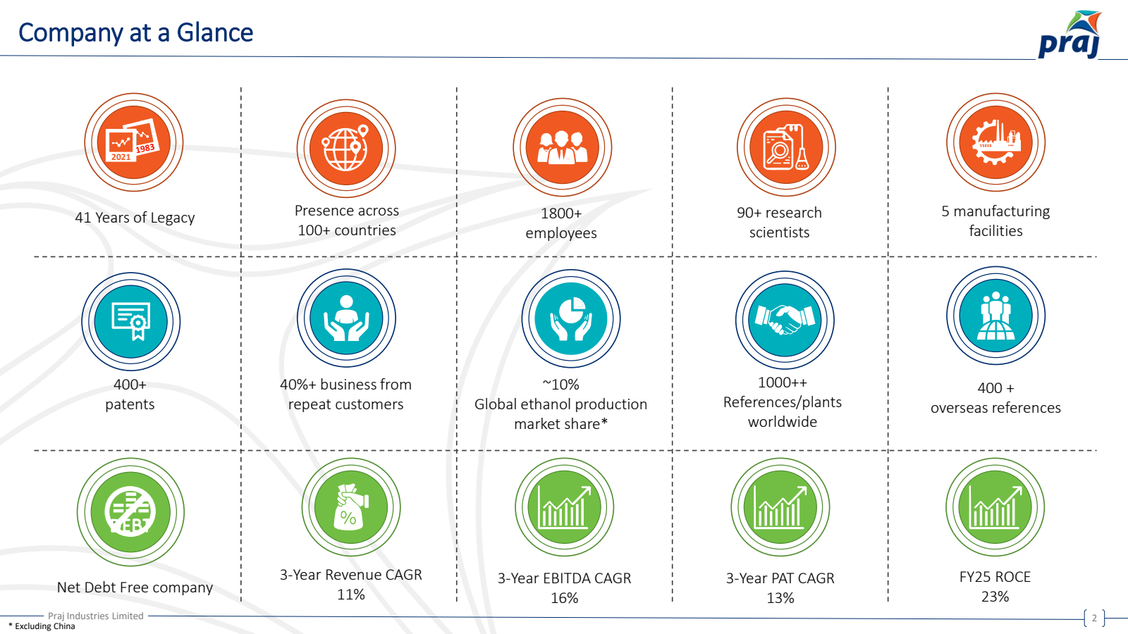 Company at a Glance 