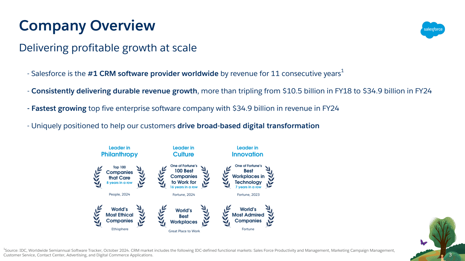 Company Overview 
De