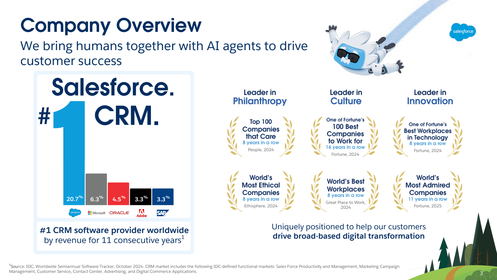 Company Overview 
We