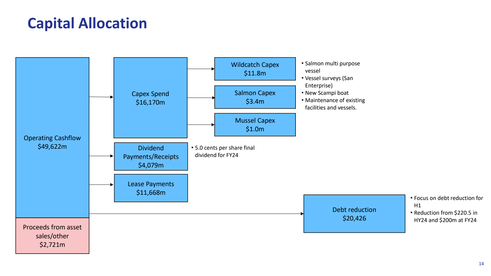 Capital Allocation 
