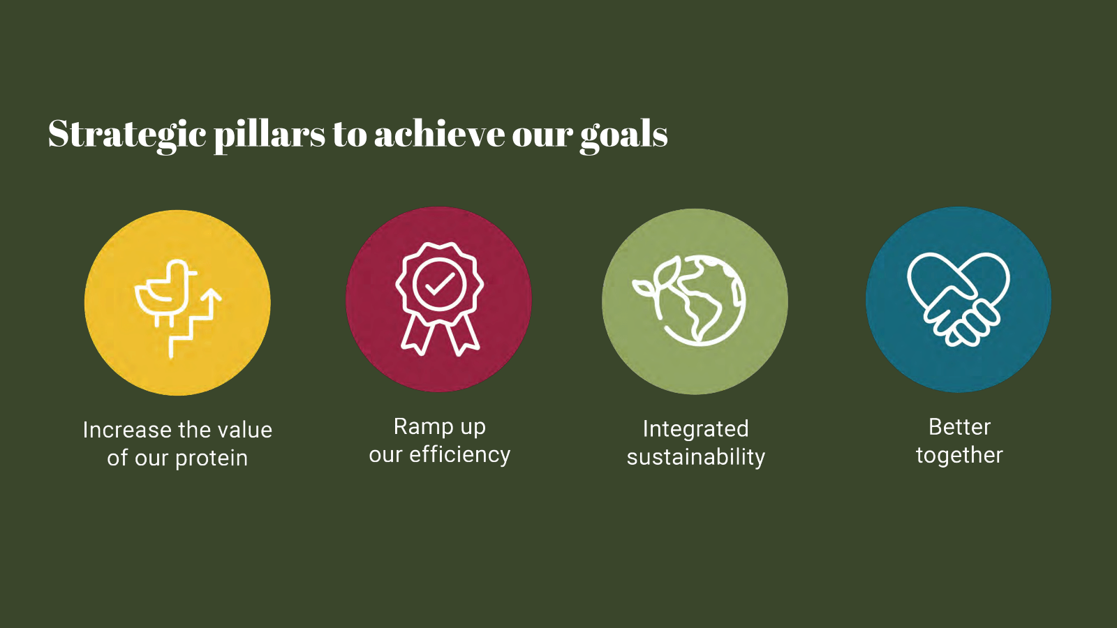 Strategic pillars to