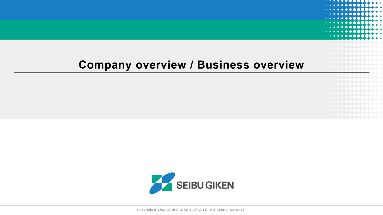 Company overview / B
