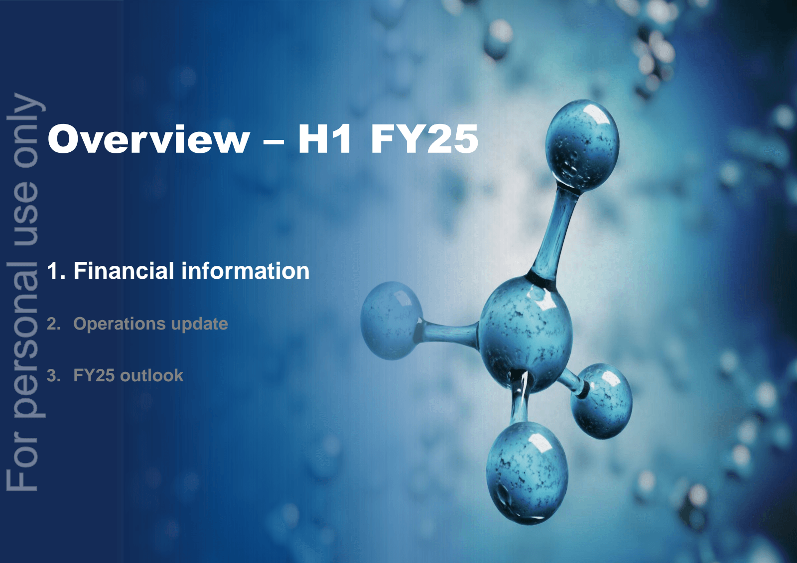 Overview - H1 FY25 
