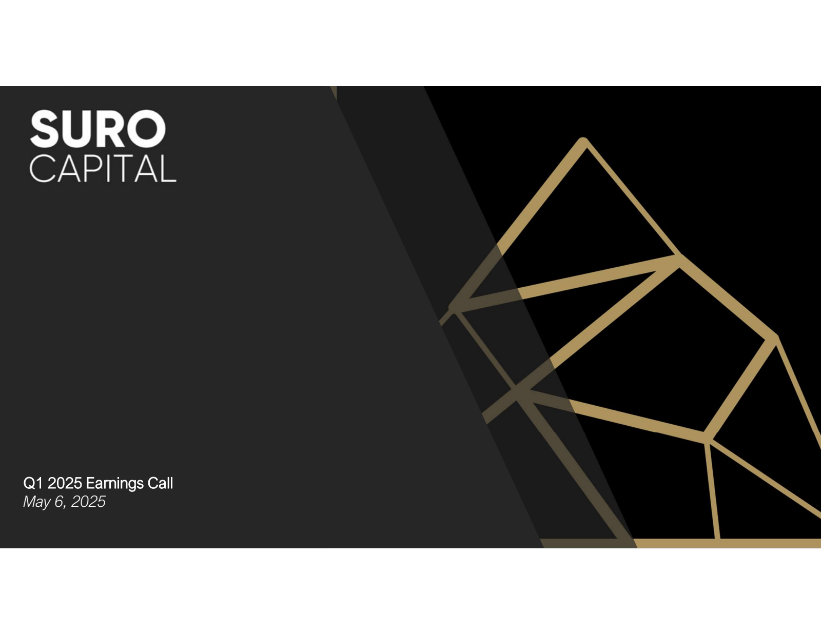 SURO CAPITAL 

Q1 20