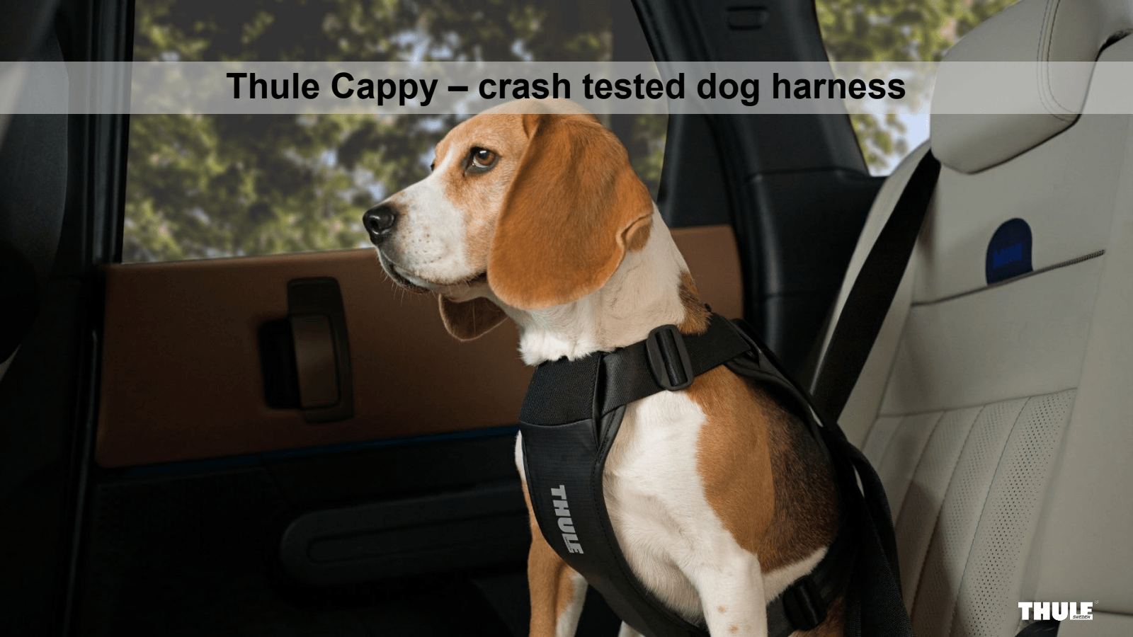Thule Cappy - crash 