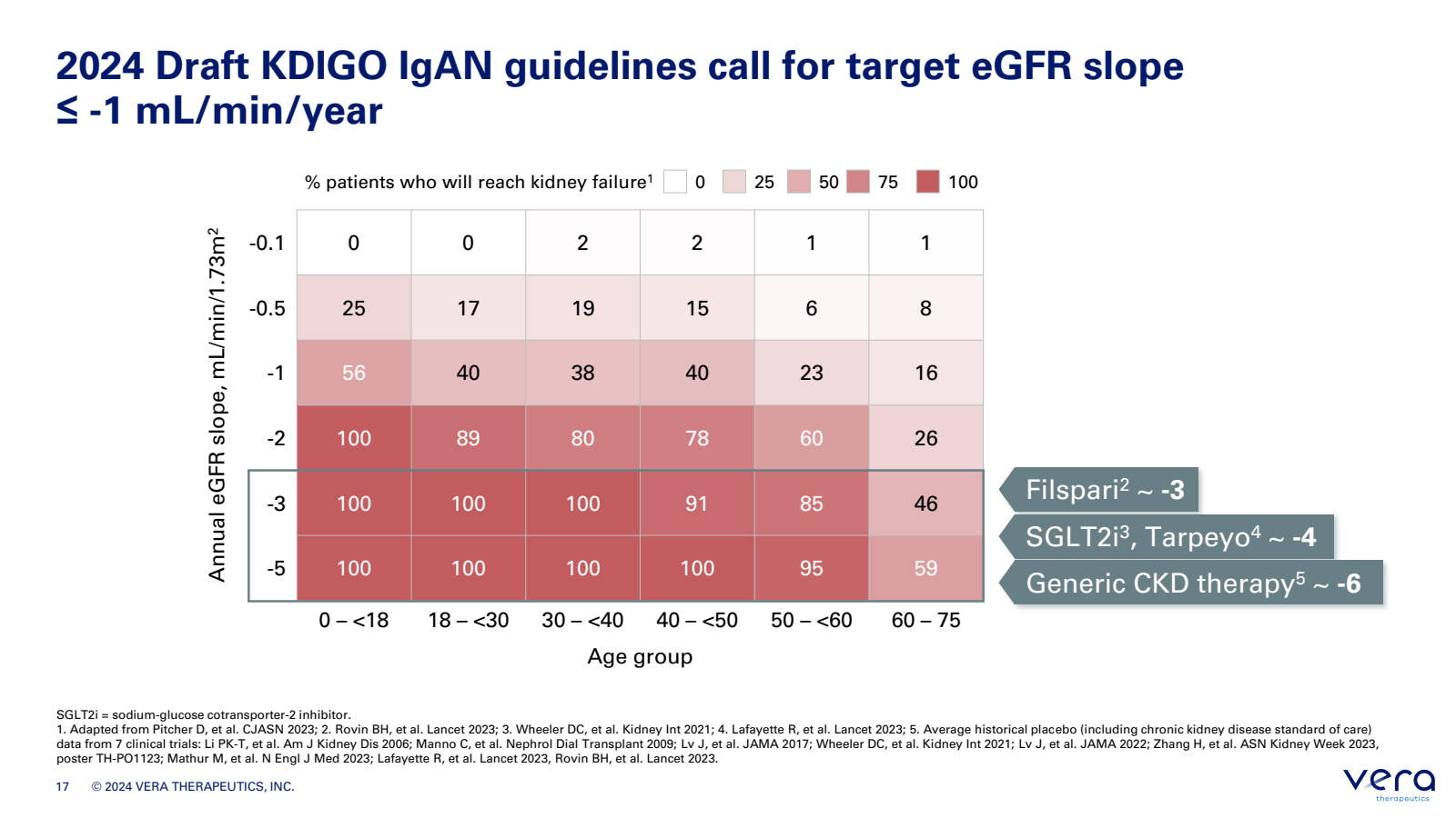2024 Draft KDIGO IgA