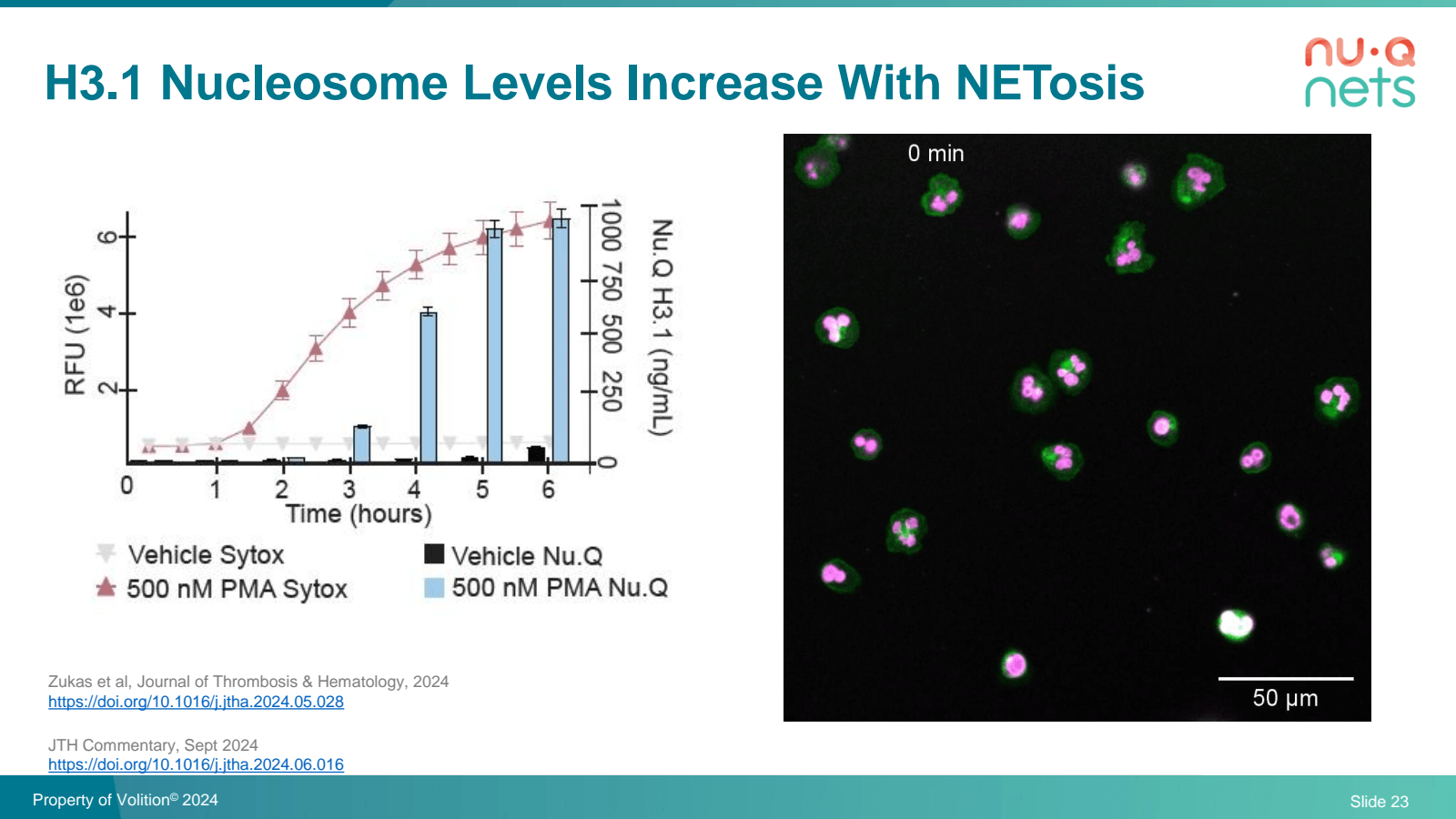 H3.1 Nucleosome Leve