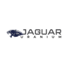 Logotype for Jaguar Uranium