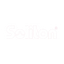 Logotype for Soliton Systems 