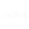 Logotype for Soliton Systems 