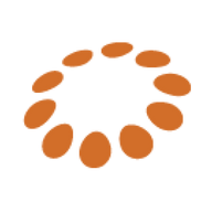 Logo for Napatech