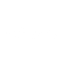 Logotype for Safestate Group 