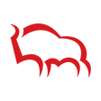Logo for Bank Polska Kasa Opieki S.A.