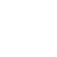 Logo for Diodes Incorporated