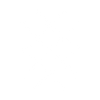 Logo for SaltX