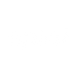 Logo for Spirit Airlines Inc