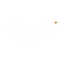 Logotype for FG Nexus