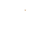 Logotype for FG Nexus