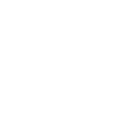 Logo for Visteon Corporation