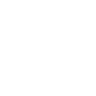 Logo for Shinko Electric Industries Co Ltd