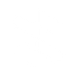 Logo for Sagility Limited