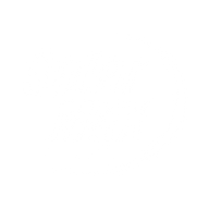Logo for SolarMax Technology Inc