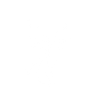 Logo for Impala Platinum Holdings Limited