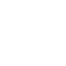 Logotype for Genscript Biotech Corporation