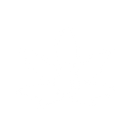 Logo for Greenfern Industries Limited