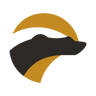 Logotype for Pan African Resources PLC
