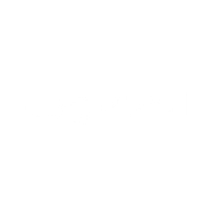 Logo for Logizard Co Ltd