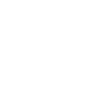 Logo for Costa Group Holdings Limited