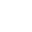 Logo for Northpointe Bancshares Inc