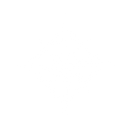 Logo for Northpointe Bancshares Inc